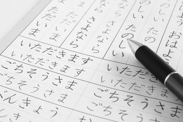 Beginner Japanese Language